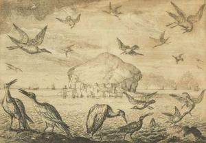 BARLOW Francis 1626-1702,The bats Island,Mercier & Cie FR 2022-07-03