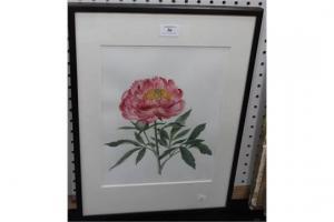 BARLOW Gillian 1944,Study of a Peony,1997,Tooveys Auction GB 2015-10-07