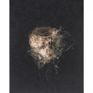 BARNES Richard 1953,Long Tailed Shrike,2000,Clars Auction Gallery US 2023-08-11