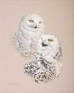 barnett Judith A,Snowy Owls,1978,Copley US 2009-07-14