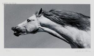 BARRA Robert 1900-1900,Horse Head,Skinner US 2009-03-06