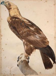BARRABAND Jacques 1767-1809,L'aigle de Thèbes,Artcurial | Briest - Poulain - F. Tajan FR 2024-03-20