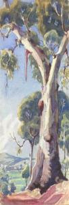 BARRINGER Herbert P 1900-1900,Gum Tree Study + Twin Gums,Theodore Bruce AU 2017-01-29