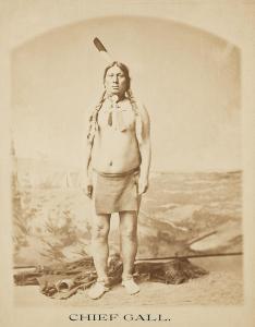 BARRY David F. 1854-1934,Portrait of Chief Gall,1888,Swann Galleries US 2023-04-27