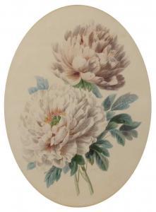 BARTHOLOMEW Valentine 1799-1879,A study of two pale pink peonies,1851,Mallams GB 2021-07-07