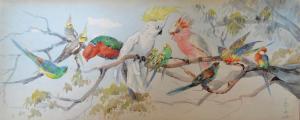 BARTLETT Violet 1920,AUSTRALIAN BIRDS,Leonard Joel AU 2017-11-02