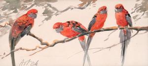 BARTLETT Violet 1920,Rosella Parrots,Elder Fine Art AU 2020-12-06