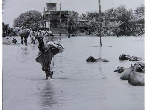 BASAK Santosh,Alluvione a Calcutta 1978,1978,Maison Bibelot IT 2017-06-22