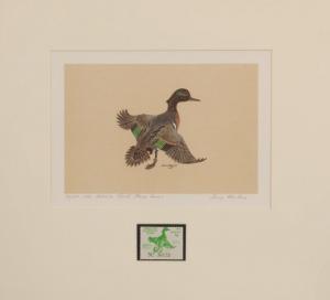 BASHORE Sonny,First of State Indiana Duck,1976,Copley US 2011-07-21
