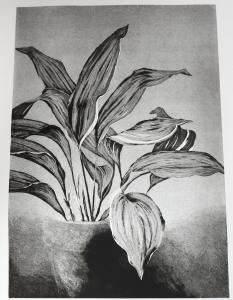 BASIS Matti 1933,botanical studies (14 works),Burstow and Hewett GB 2022-02-25