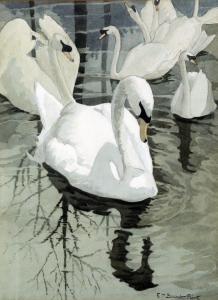 BATCHELOR FLINT Ethel Mary,Study of swans on a lake,Biddle and Webb GB 2013-07-05