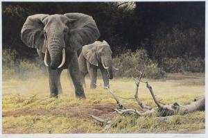 BATEMAN Robert 1842-1922,ELEPHANT,Burchard US 2020-08-16