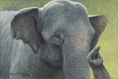 BATEMAN Robert McLellan 1930,Burmese Elephant,2008,Maynards CA 2025-08-06