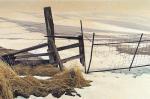 BATEMAN Robert McLellan 1930,By the Roadside - Horned Larks,Jackson Hole US 2020-09-19