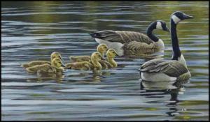 BATEMAN Robert McLellan 1930,Canada Geese with Young,1985,Heffel CA 2015-05-30