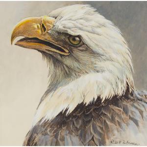 BATEMAN Robert McLellan 1930,HEAD OF A BALD EAGLE,Waddington's CA 2023-10-19