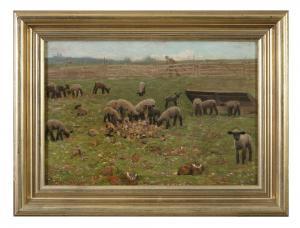 BATES Dewey 1851-1899,Lambs in a Paddock,1886,Adams IE 2019-09-08