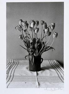 BATHO Claude 1935-1981,Tulipes fanées,1980,Yann Le Mouel FR 2023-11-14