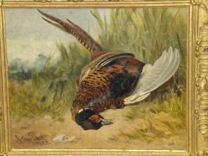 BATT Arthur 1846-1911,Study of a dead cock pheasant,Bonhams GB 2008-10-27