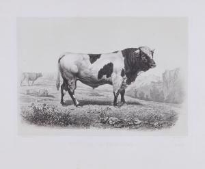 BAUDEMENT Emile 1816-1863,cattle breeds,Dreweatts GB 2016-12-13