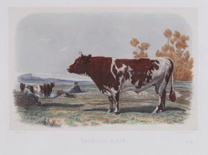 BAUDEMENT Emile 1816-1863,European cattle breeds,1861,Dreweatts GB 2016-12-13