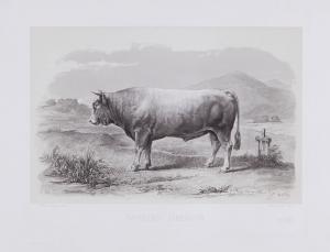BAUDEMENT Emile 1816-1863,French cattle breeds,Dreweatts GB 2016-12-13