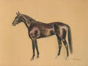 BAUER Carl Franz 1879-1954,A racing horse in profile,Palais Dorotheum AT 2024-03-28