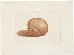 BAUSE Johann Friedrich 1738-1814,Der Totenkopf eines Kindes,Galerie Bassenge DE 2018-05-31