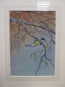 BAXENDALE John 1919-1982,a blue tit,Cheffins GB 2017-09-28