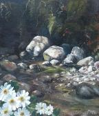 BAXTER Brian 1972-1993,Mt Cook Lilies, Clinton River,International Art Centre NZ 2014-02-27