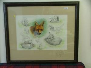 BAXTER Daphne 1900-1900,Studies of Foxes,Reeman Dansie GB 2008-03-08