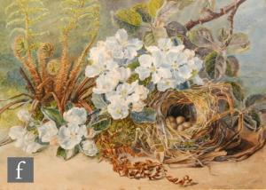 BAYFIELD Fanny Jane,Nest of the Sedge Warbler,1892,Fieldings Auctioneers Limited 2020-06-24