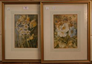 BAYFIELD Fanny Jane 1800-1900,Study of Daffodils and Narcissi,Tooveys Auction GB 2008-06-18