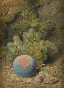 BAYNES Frederick Thomas 1824-1874,Still life of grapes and a plum,Dreweatts GB 2020-11-24