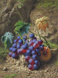 BAYNES Frederick Thomas 1824-1874,Still life of grapes and and apple on a forest f,Woolley & Wallis 2018-03-07