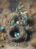 BAYNES Frederick Thomas,Still-life with birds nest and eggs, amongst flowe,Rosebery's 2009-05-12
