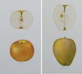 BEACH S.A 1900-1900,The Apples of New York: Ten Plates,1905,Christie's GB 2007-03-07