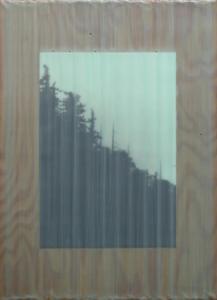 BEALL Jeff,Untitled (Forest Silhouette),1998,Clars Auction Gallery US 2017-02-19