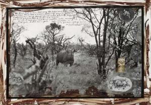 BEARD Peter 1938-2020,Black Rhino in Tsavo from The End of the Game,Christie's GB 2003-11-18