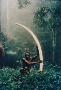 BEARD Peter 1938-2020,Elui Nzenge + world record cow ele tusk, Marasabit,1962,Sotheby's 2024-04-10