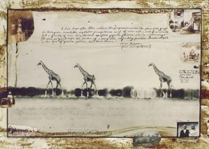 BEARD Peter 1938-2020,Giraffes in mirage on the Taru Desert,1960,Christie's GB 2013-11-16