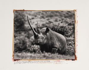BEARD Peter 1938-2020,World Record Class Rhino in the Aberdare Forest,1972,Sotheby's GB 2024-04-10