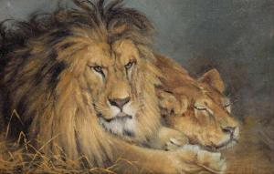 BECHT L 1900-1900,Leeuw en leeuwin,Bernaerts BE 2013-02-04