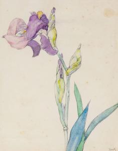 BECK Franz 1893-1983,Iris,Kastern DE 2021-11-12