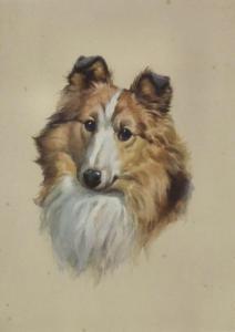 BECKLES Evelyn Lina 1888,Head of a Sheltie,Canterbury Auction GB 2011-05-24