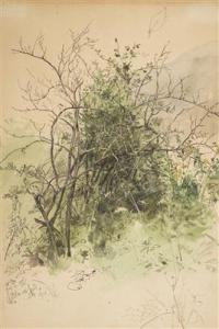 BEDOICH Havranek 1821-1899,A Study of a Bush,Palais Dorotheum AT 2016-12-03