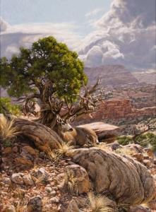 BEECHAM Greg 1954,black-tailed deer overlooking a canyon,1990,O'Gallerie US 2023-01-16