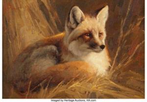 BEECHAM Greg 1954,Study of a Fox,Heritage US 2021-06-18