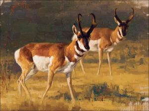 BEECHAM Greg 1954,Two Antelope,Scottsdale Art Auction US 2021-04-09