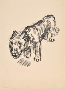 BEEH René 1886-1922,Tiger,Allgauer DE 2017-07-05
